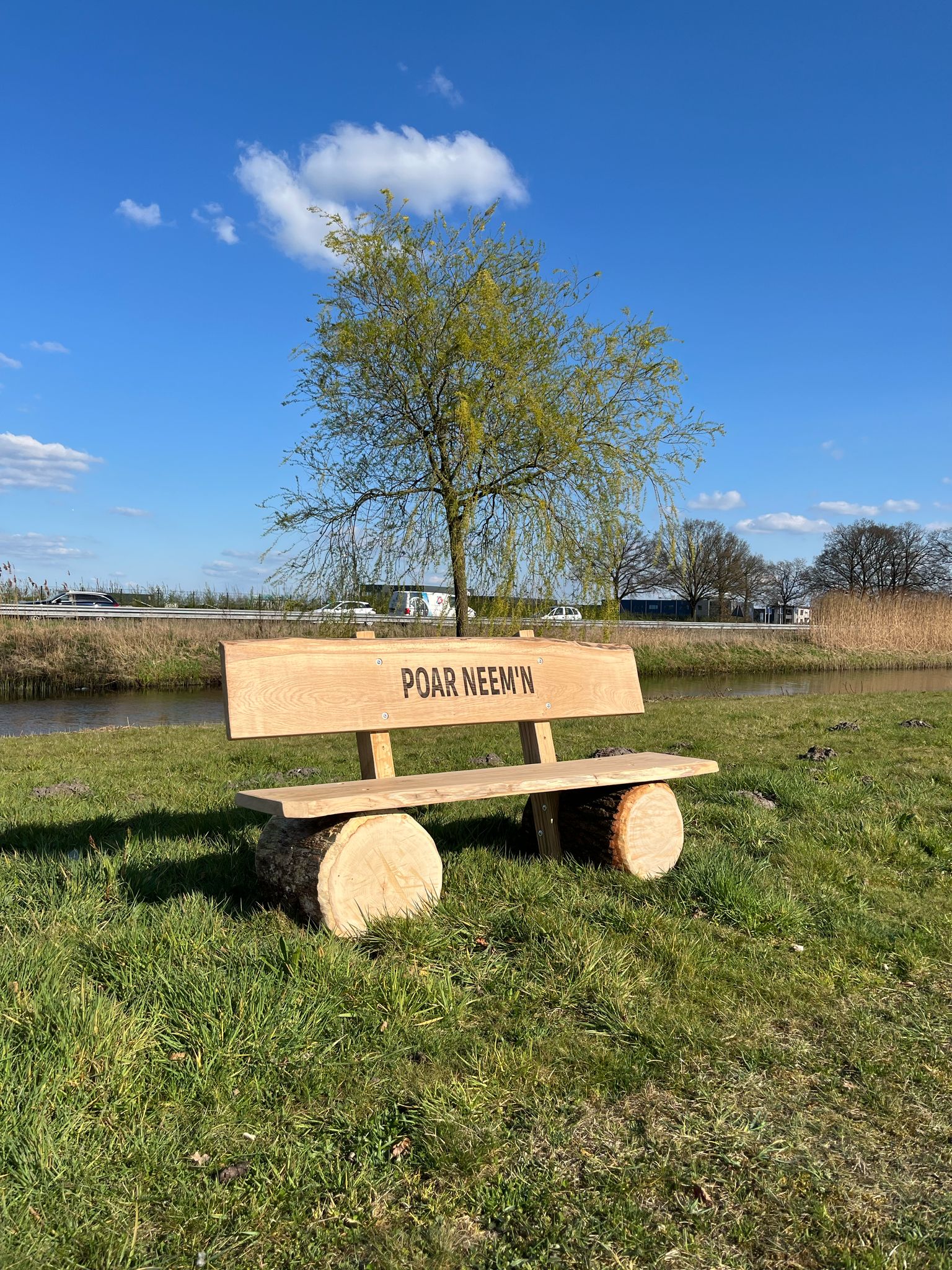 Baumstammbank mit Rückenlehne – Bild 4